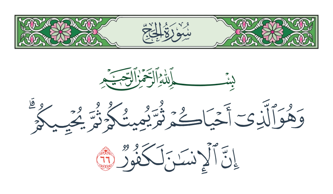  سورة الحج الآية رقم 66