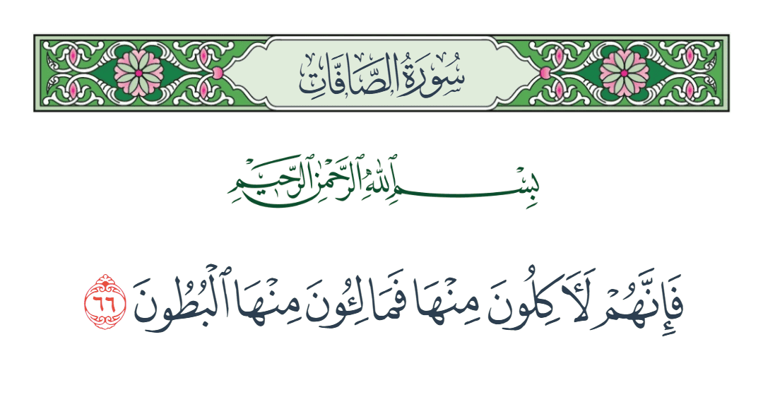  سورة الصافات الآية رقم 66