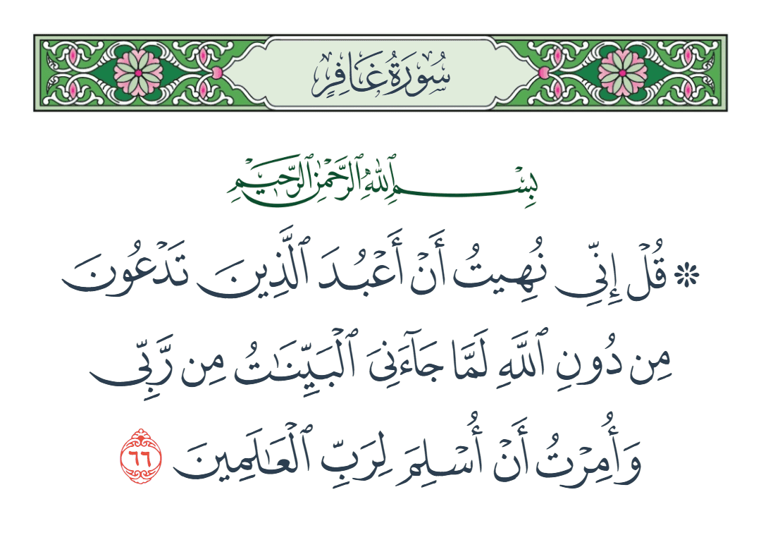  سورة غافر الآية رقم 66