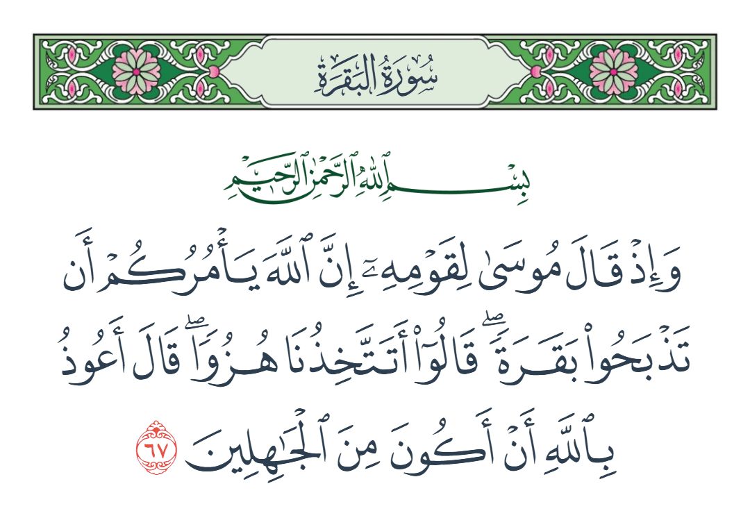  سورة البقرة الآية رقم 67