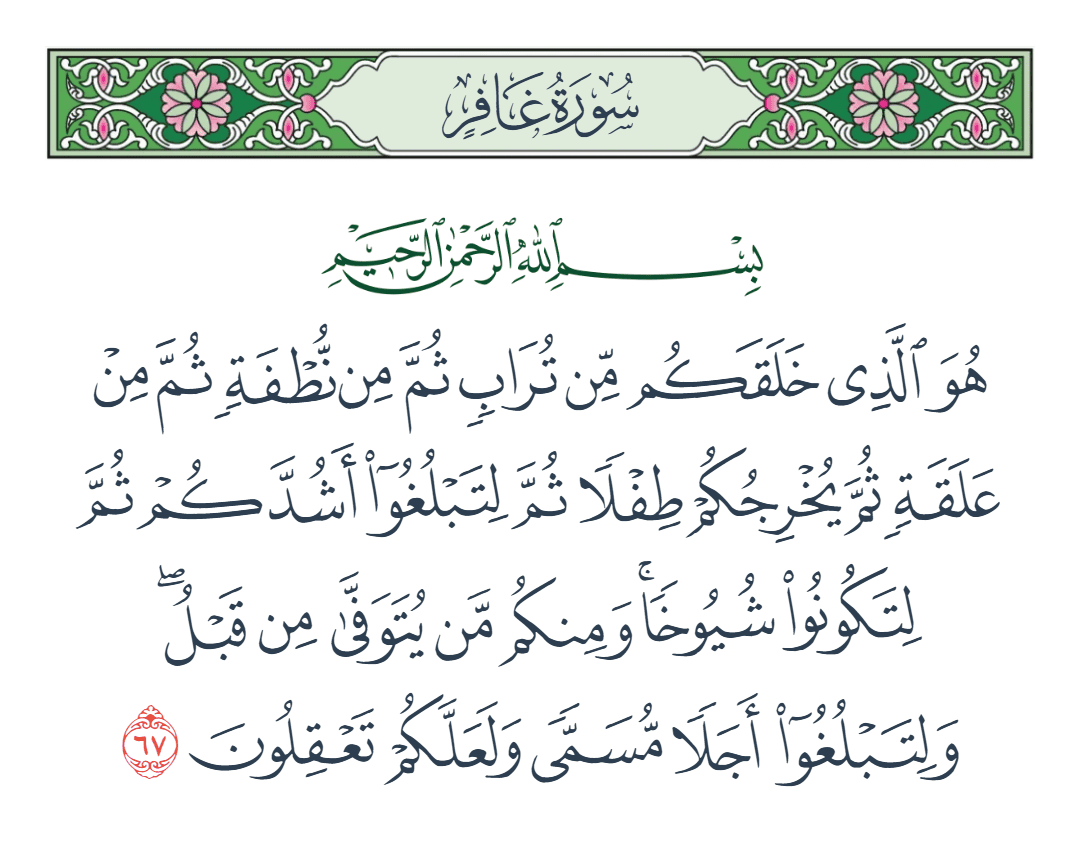  سورة غافر الآية رقم 67