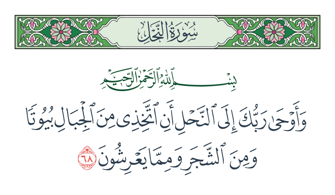  سورة النحل الآية رقم 68