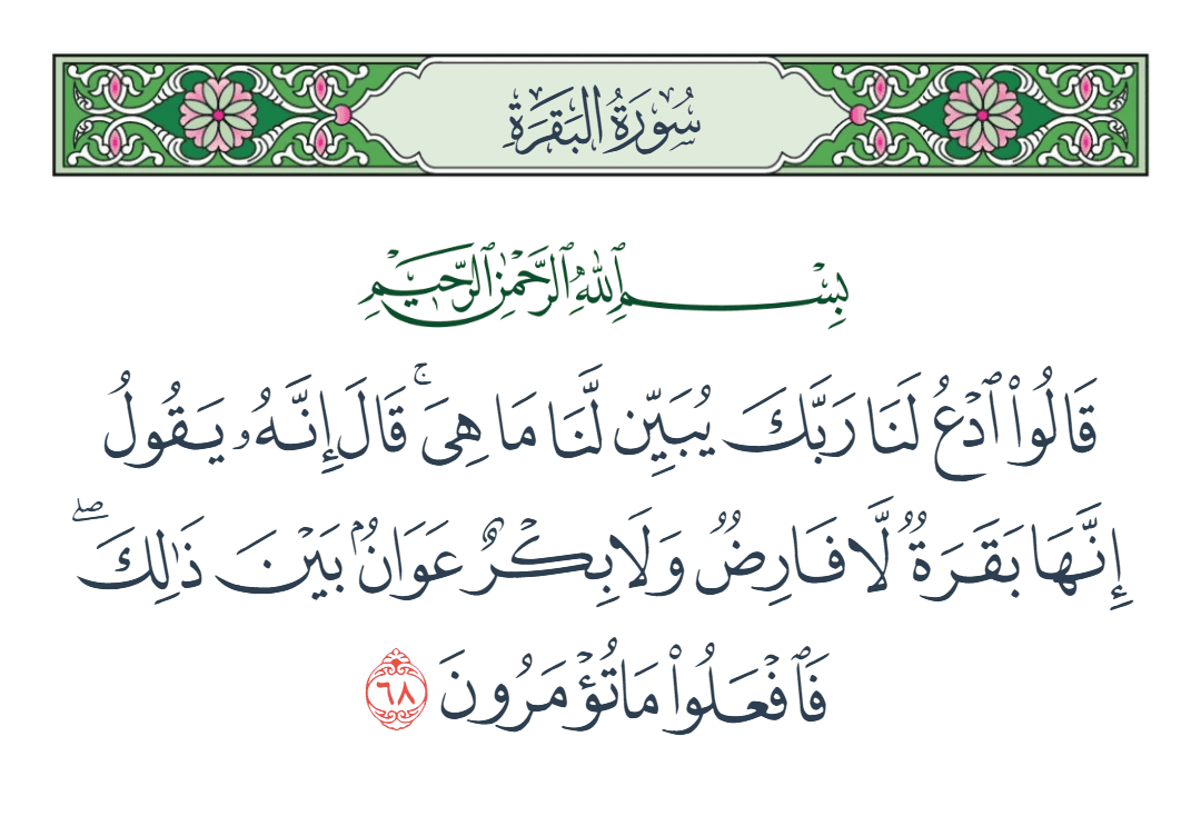  سورة البقرة الآية رقم 68