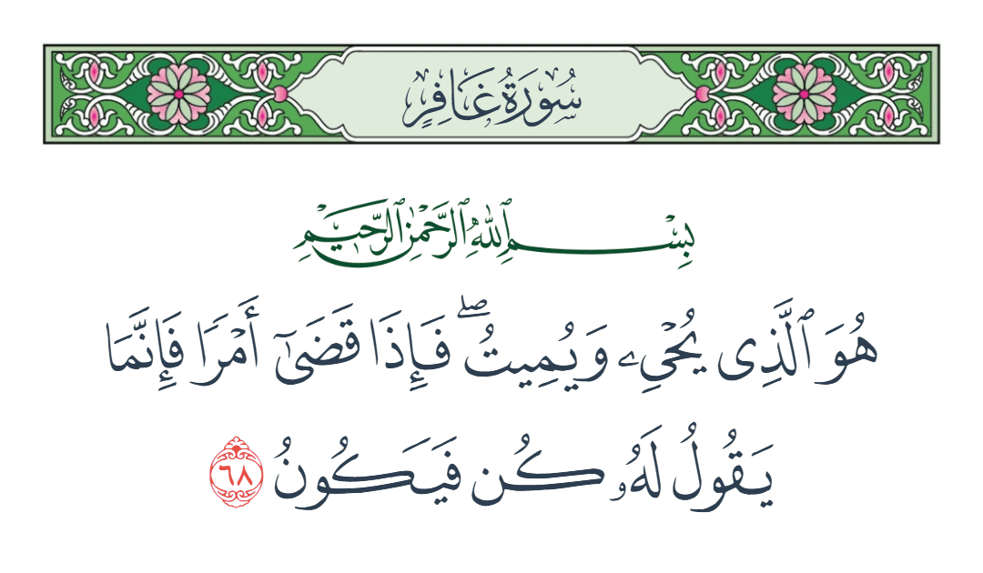  سورة غافر الآية رقم 68