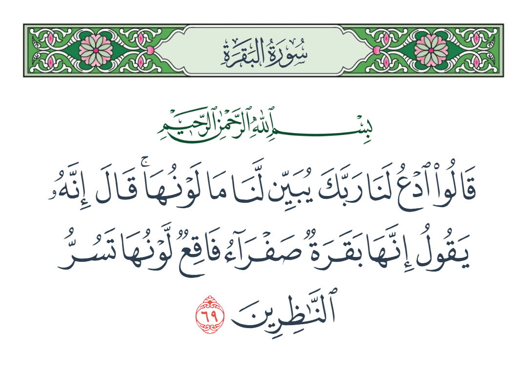  سورة البقرة الآية رقم 69