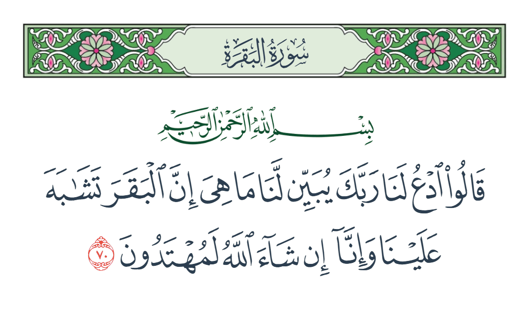  سورة البقرة الآية رقم 70