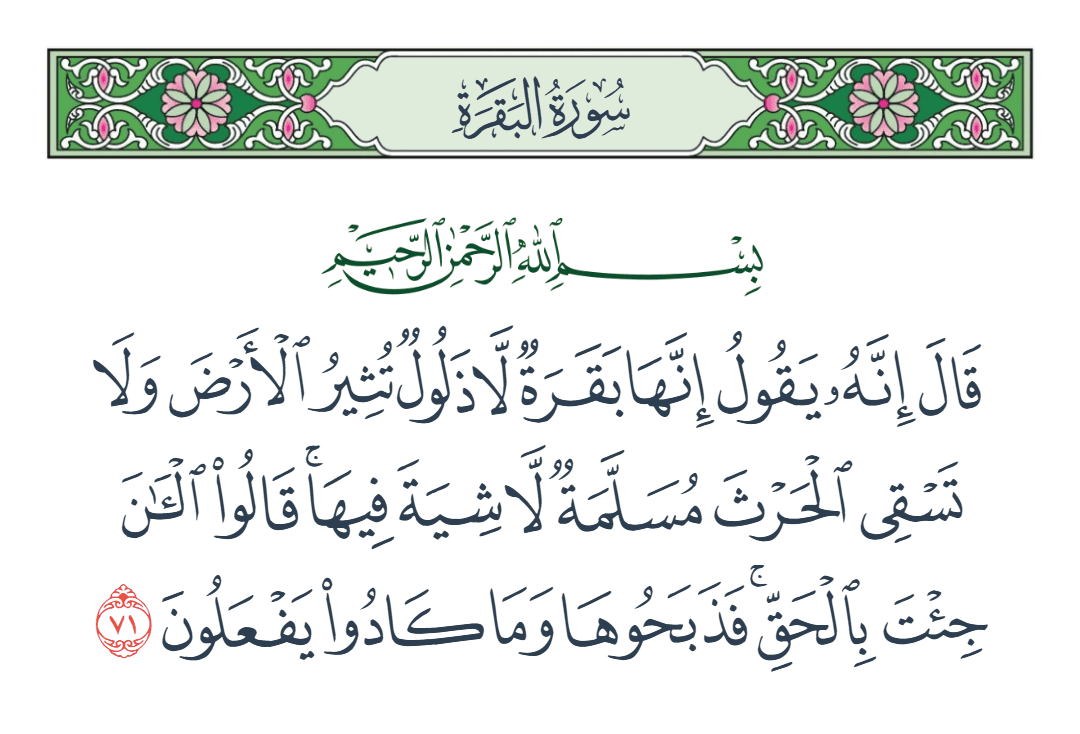  سورة البقرة الآية رقم 71