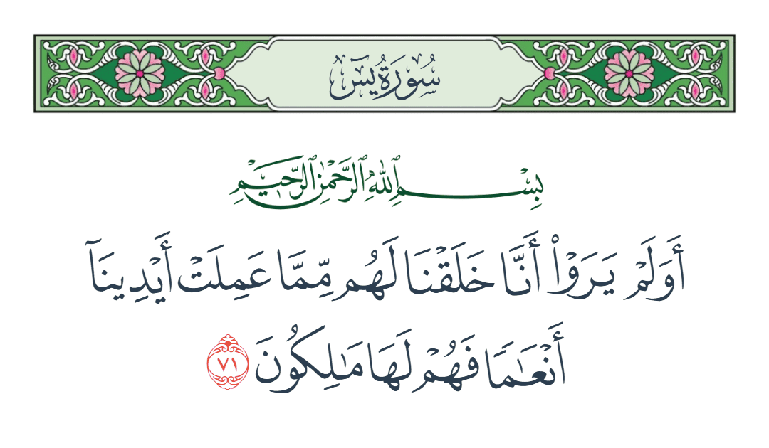  سورة يس الآية رقم 71