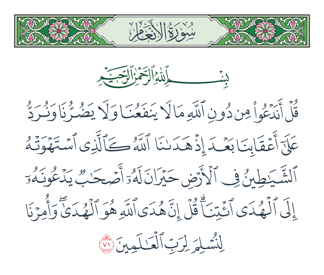  سورة الأنعام الآية رقم 71