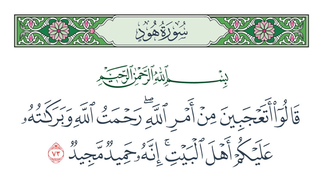  سورة هود الآية رقم 73