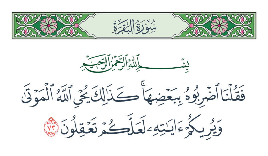  سورة البقرة الآية رقم 73