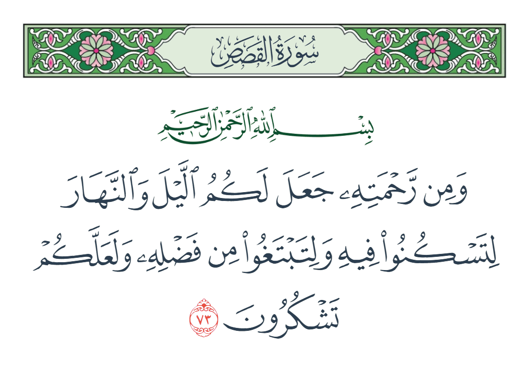  سورة القصص الآية رقم 73