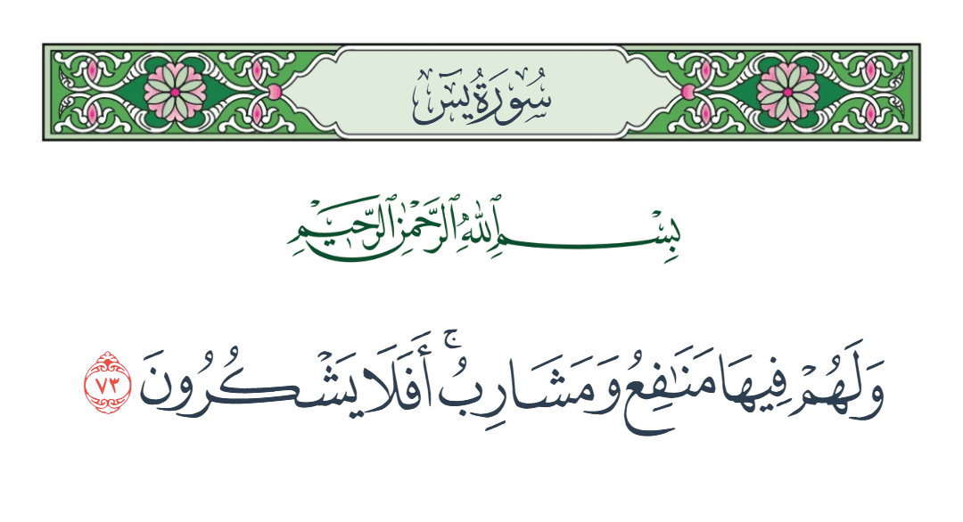  سورة يس الآية رقم 73