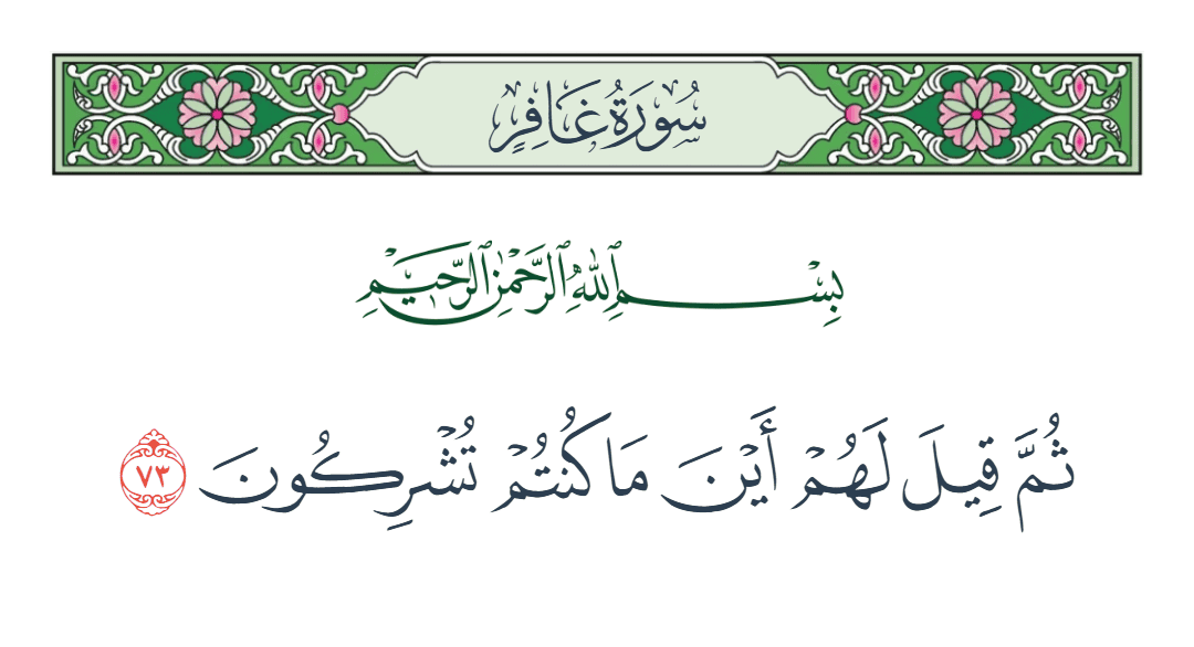  سورة غافر الآية رقم 73