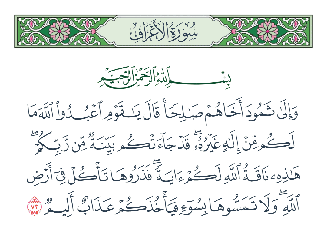  سورة الأعراف الآية رقم 73