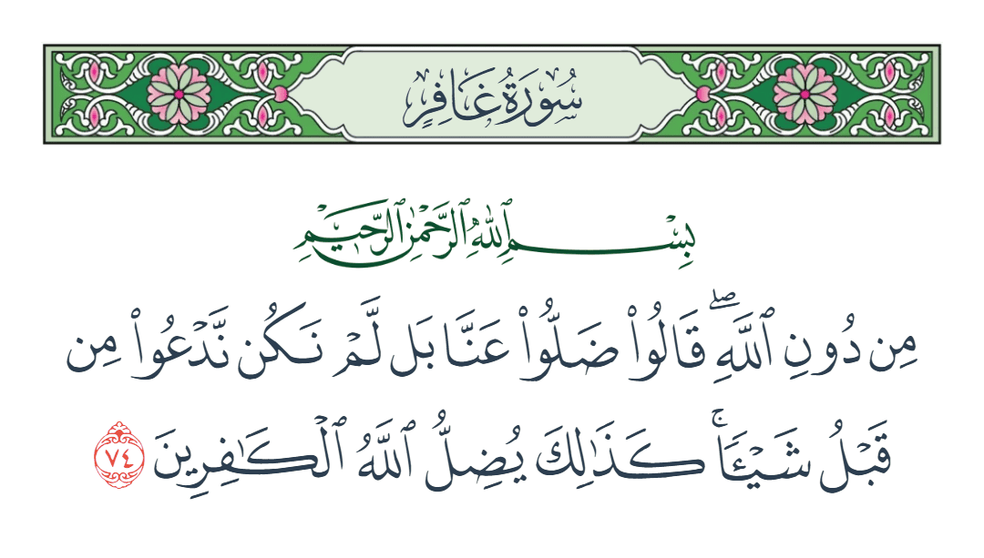  سورة غافر الآية رقم 74