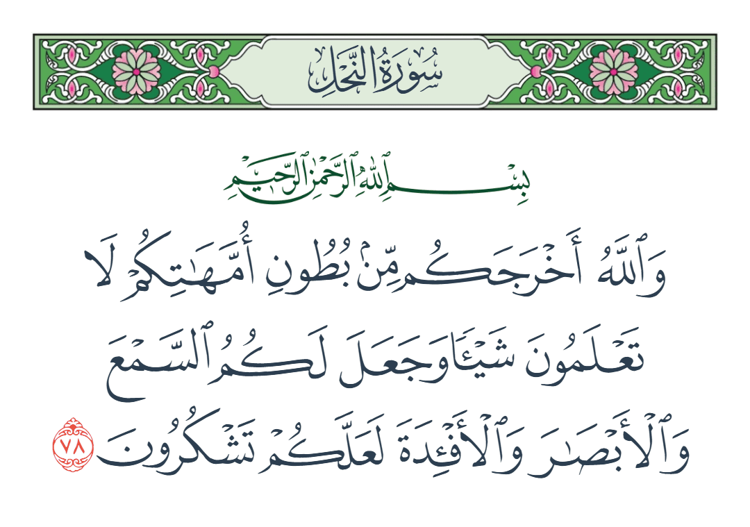  سورة النحل الآية رقم 78