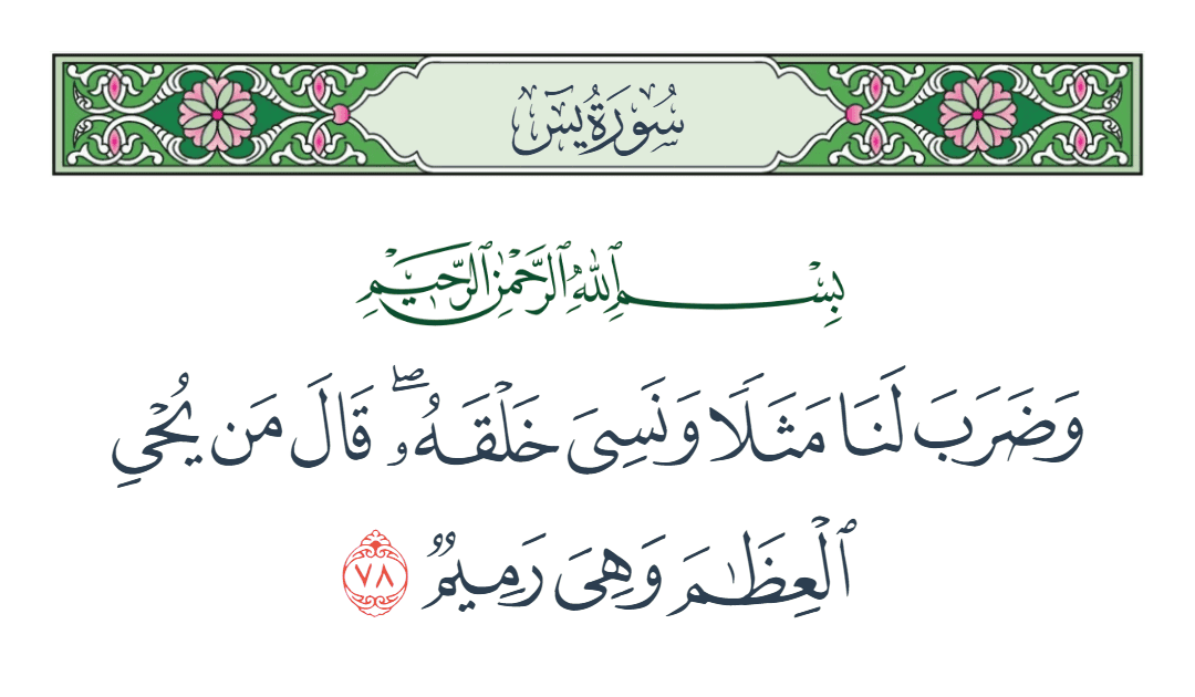  سورة يس الآية رقم 78