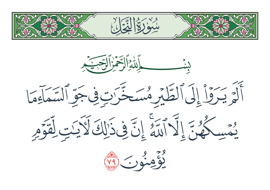  سورة النحل الآية رقم 79