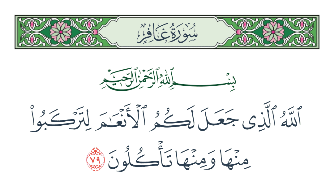  سورة غافر الآية رقم 79