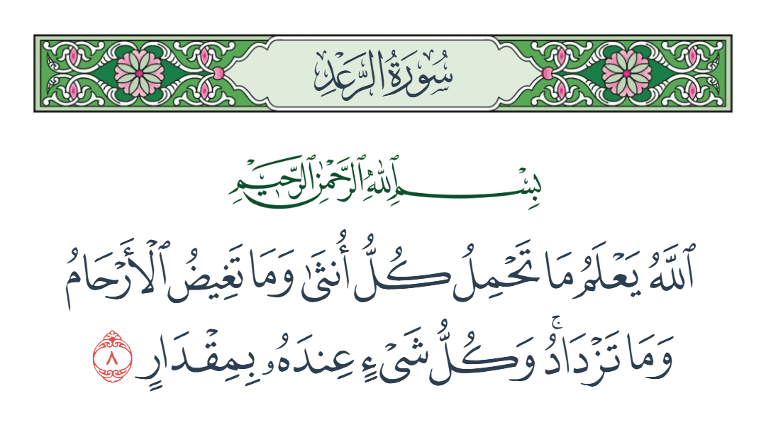  سورة الرعد الآية رقم 8