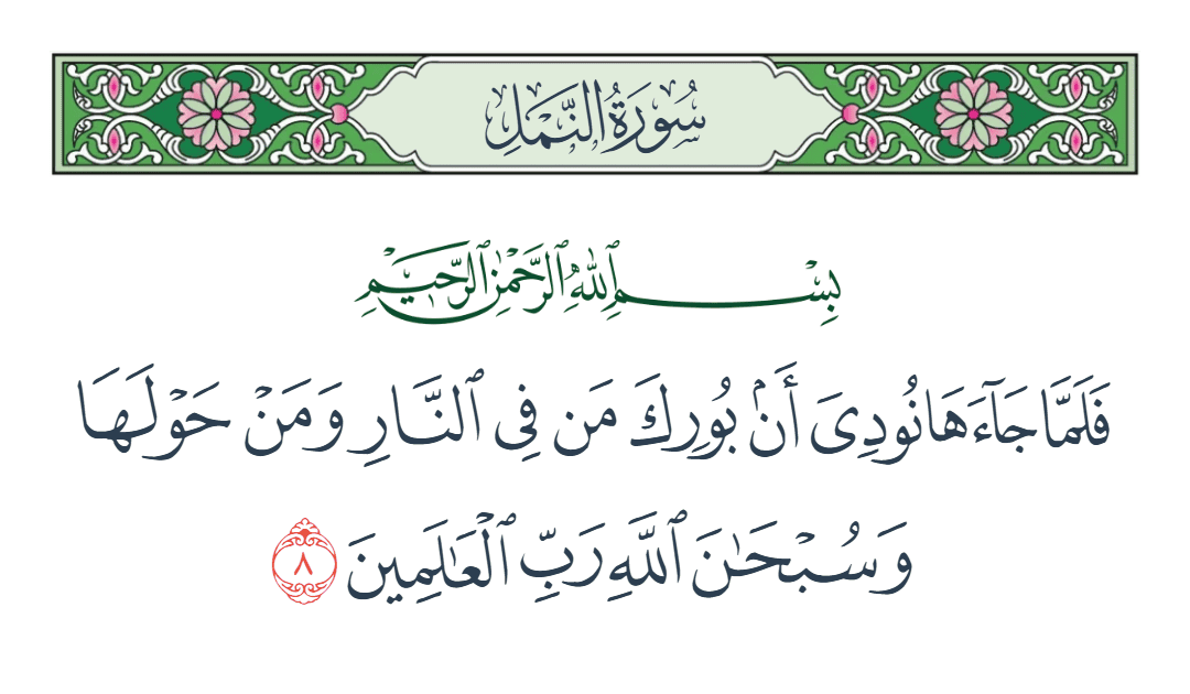  سورة النمل الآية رقم 8