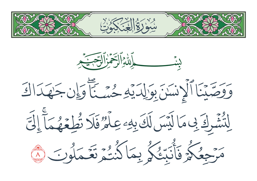  سورة العنكبوت الآية رقم 8