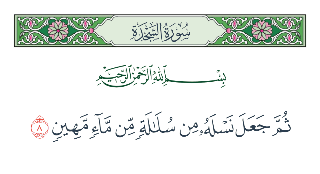  سورة السجدة الآية رقم 8
