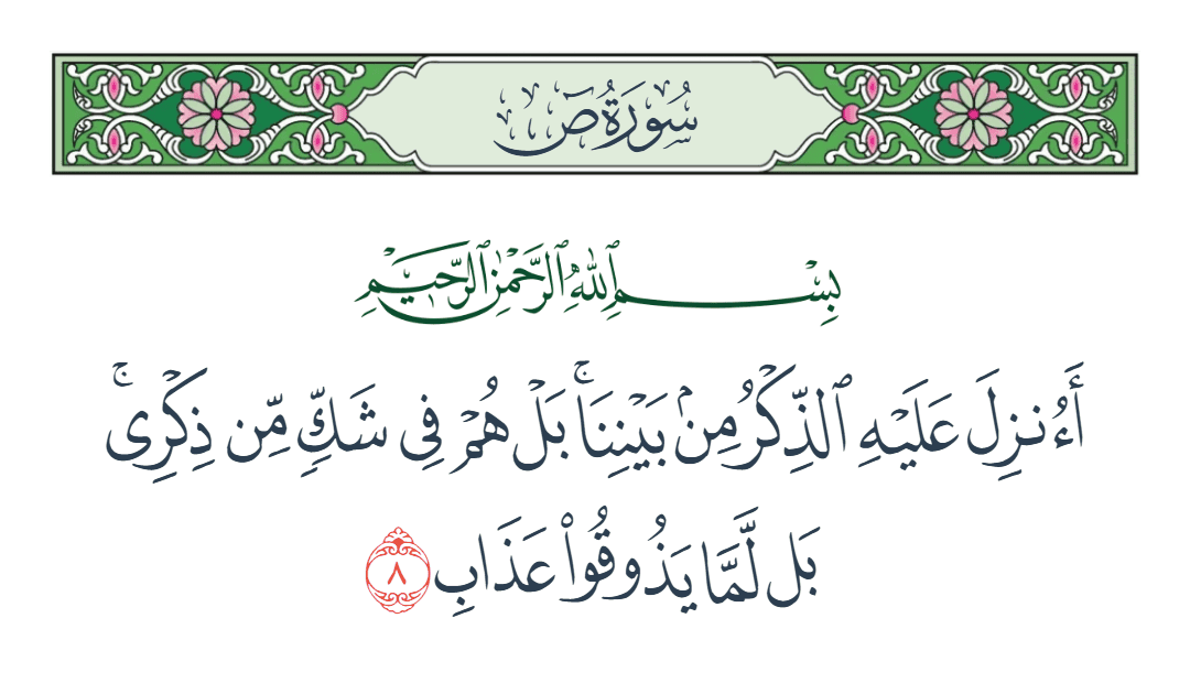  سورة ص الآية رقم 8