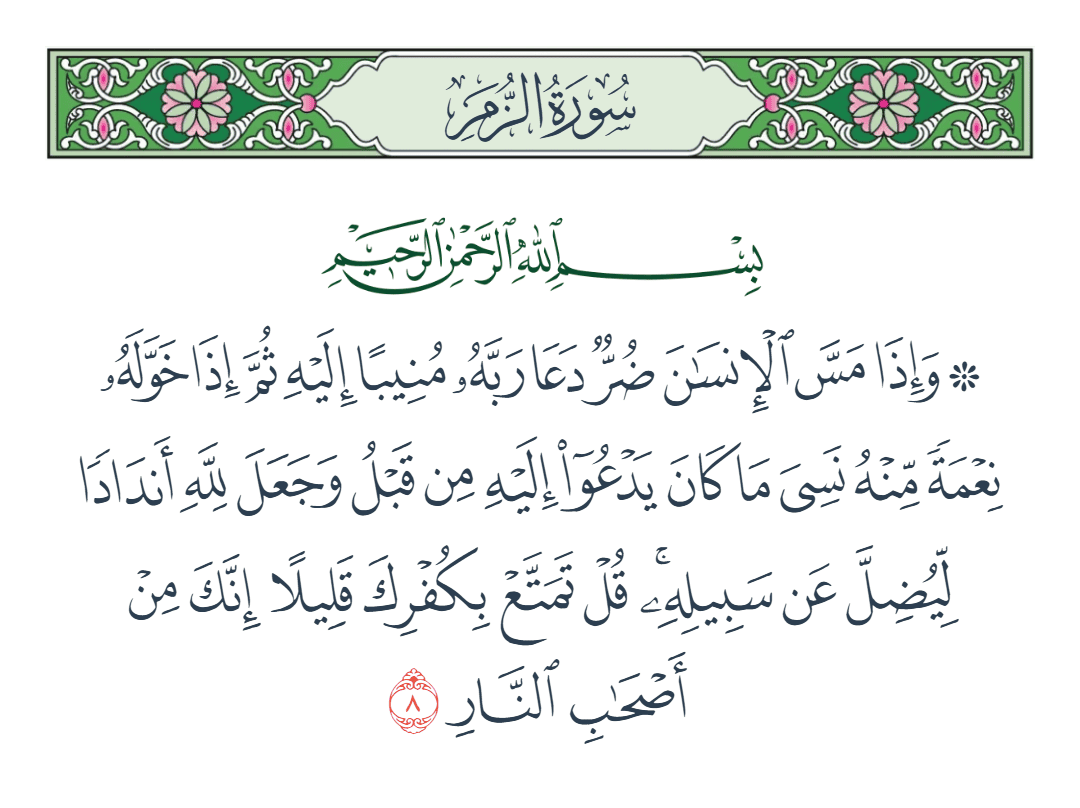  سورة الزمر الآية رقم 8