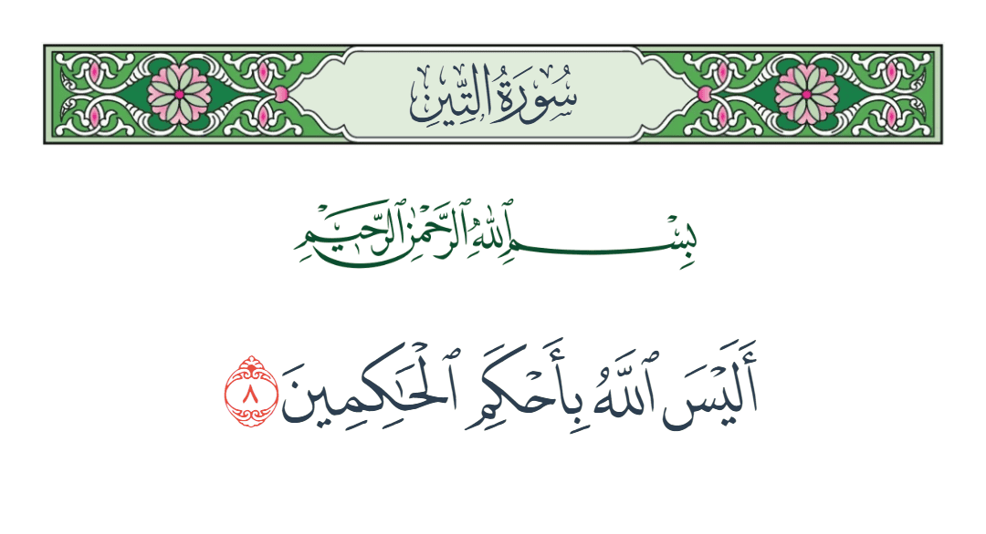  سورة التين الآية رقم 8