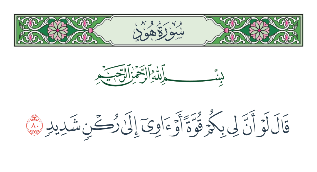  سورة هود الآية رقم 80