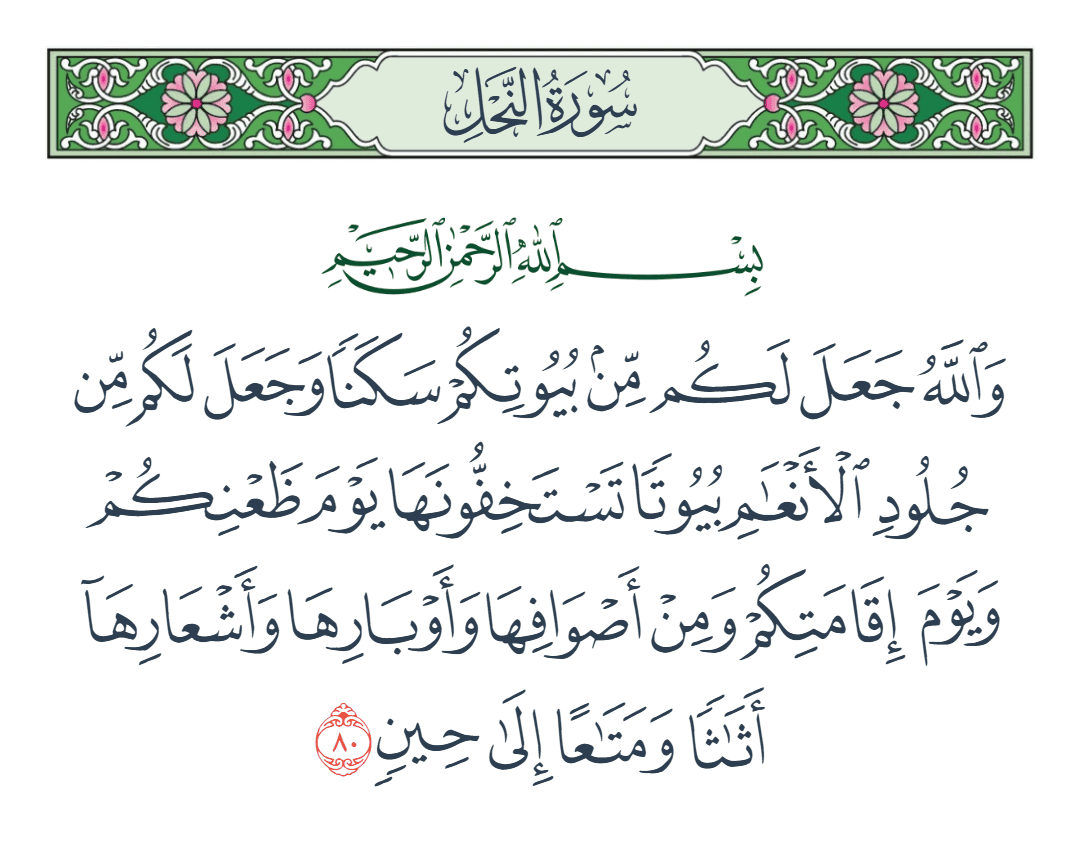  سورة النحل الآية رقم 80