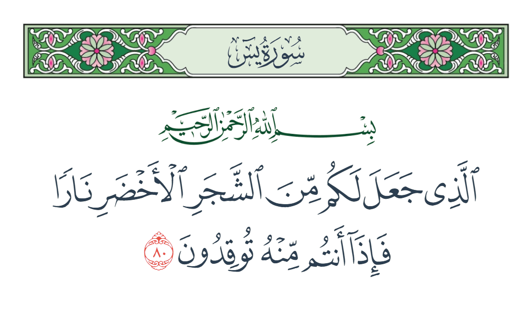  سورة يس الآية رقم 80