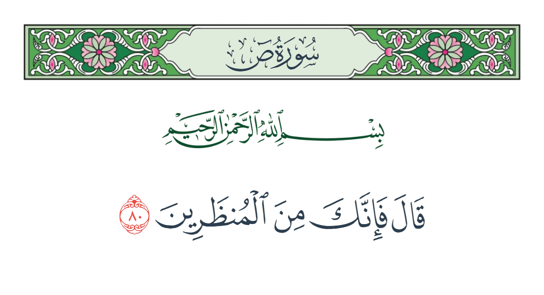  سورة ص الآية رقم 80