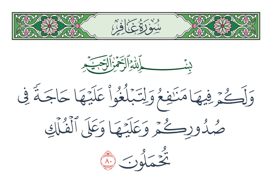  سورة غافر الآية رقم 80