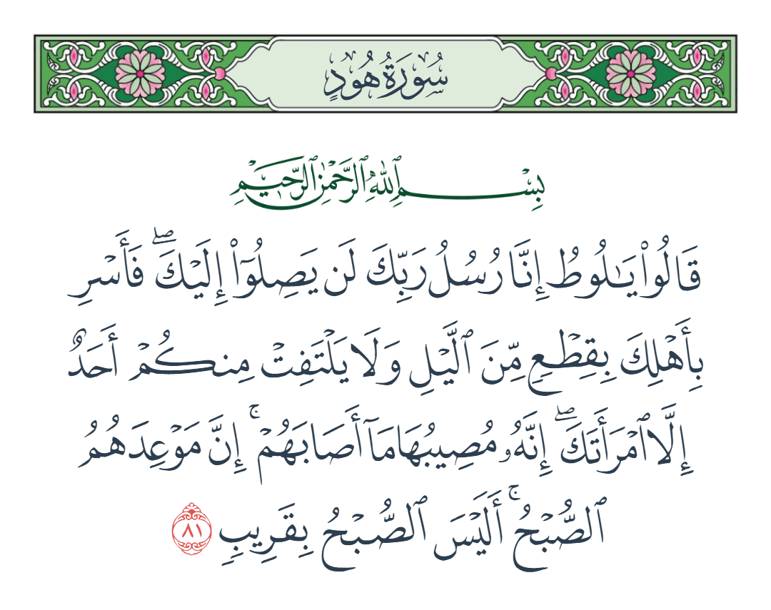  سورة هود الآية رقم 81