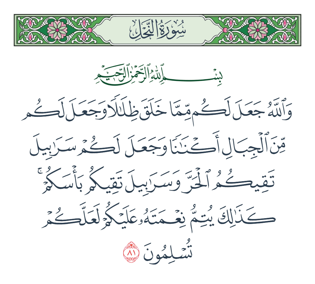  سورة النحل الآية رقم 81