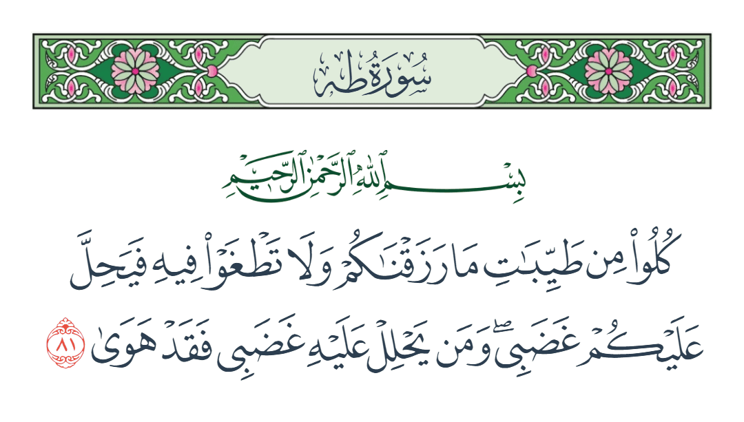  سورة طه الآية رقم 81