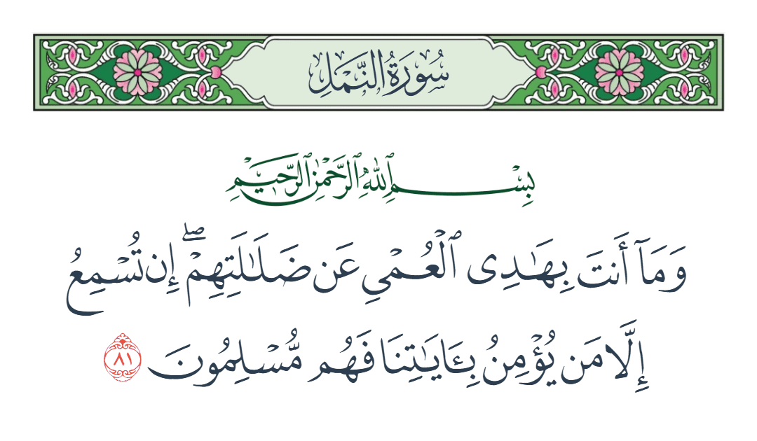  سورة النمل الآية رقم 81