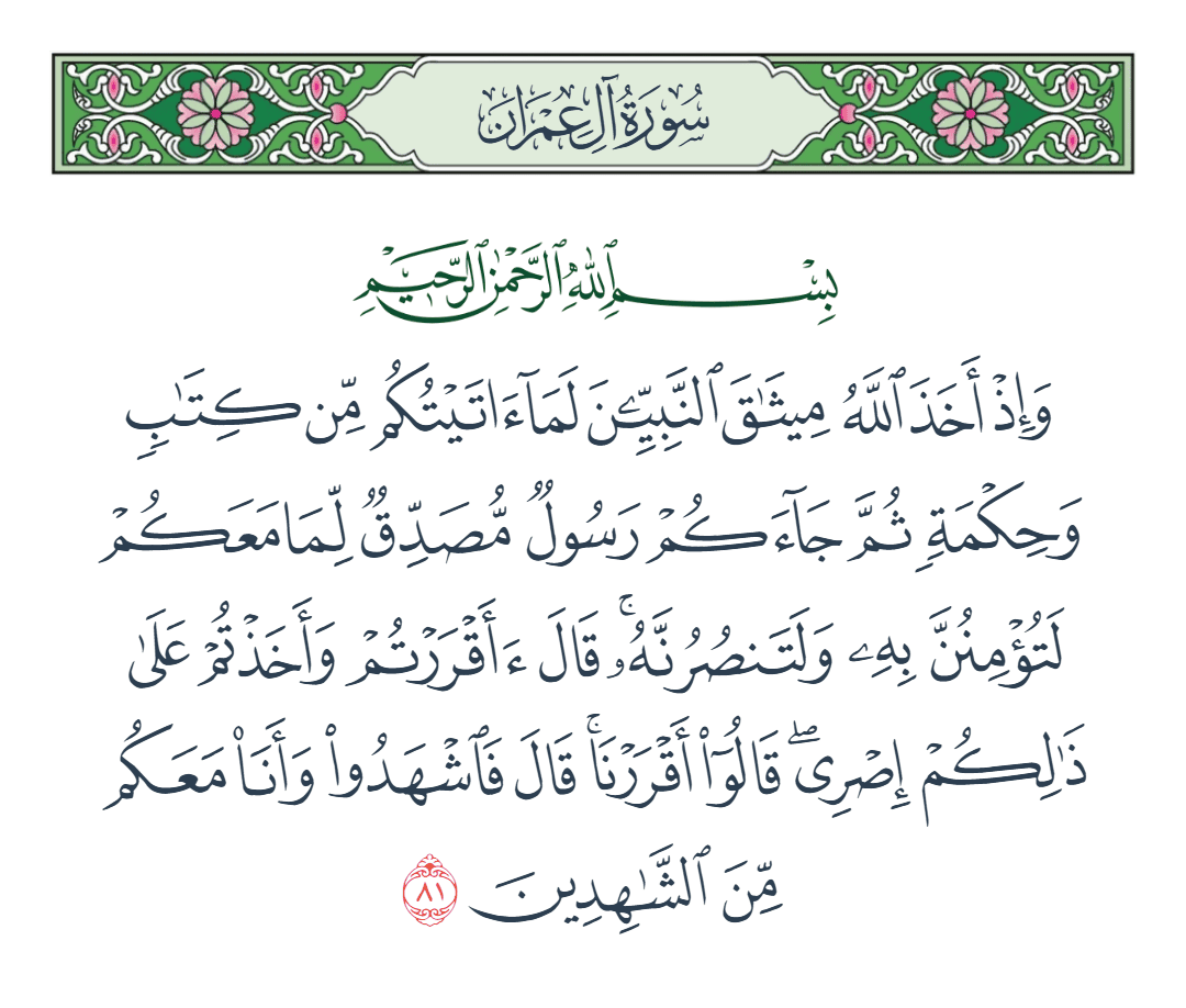  سورة آل عمران الآية رقم 81