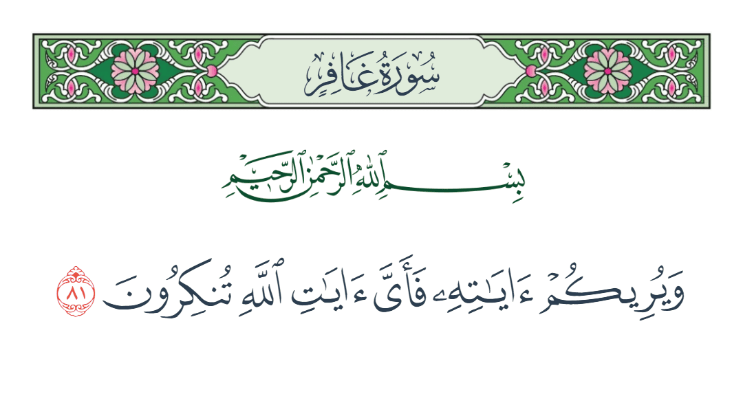  سورة غافر الآية رقم 81