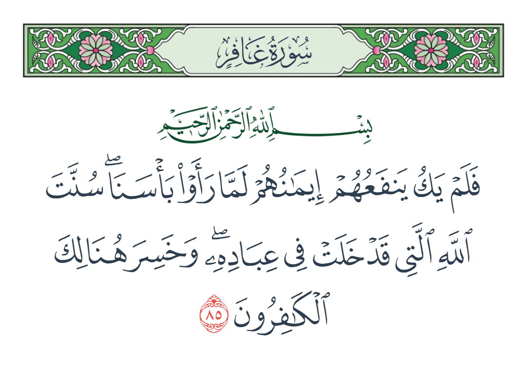  سورة غافر الآية رقم 85