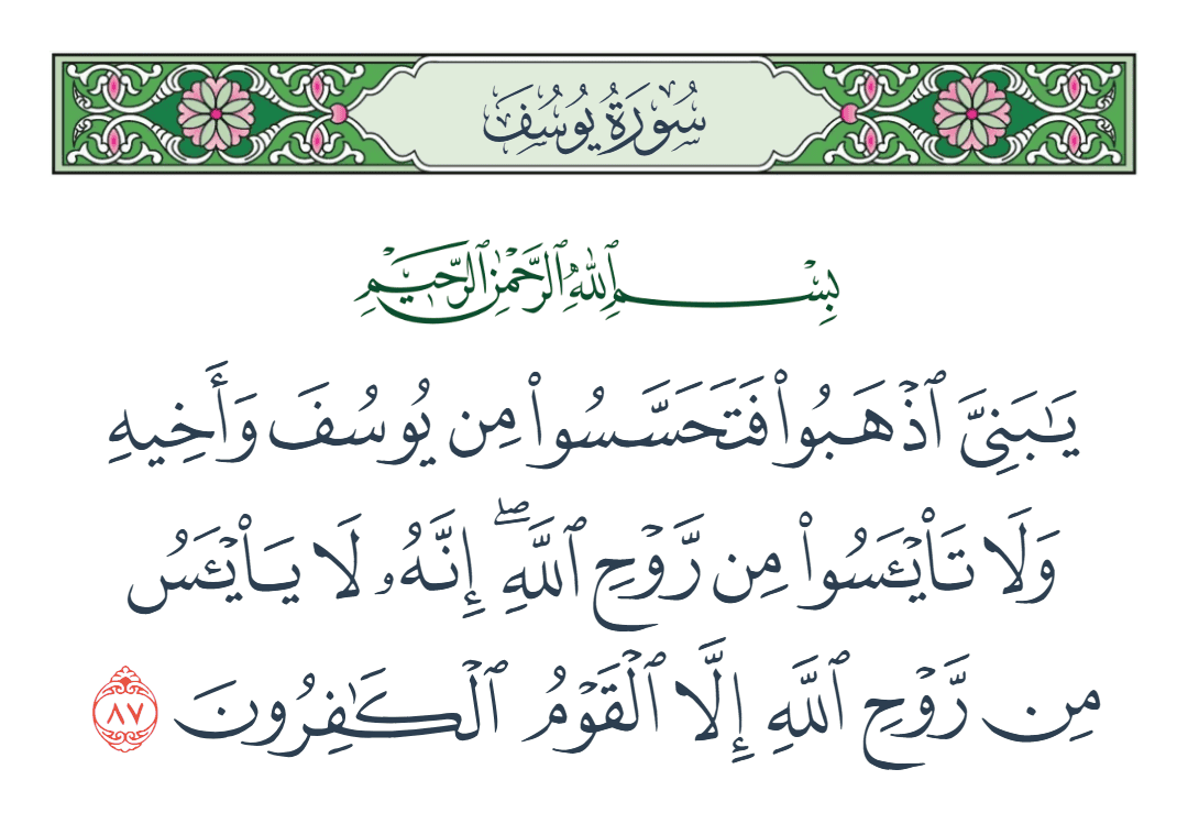 سورة يوسف الآية رقم 87