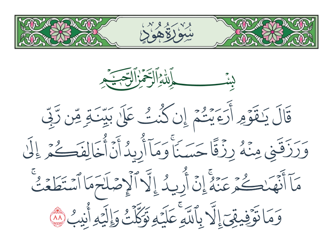  سورة هود الآية رقم 88