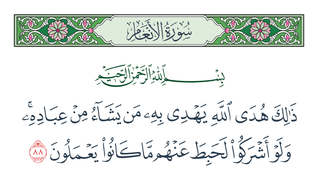  سورة الأنعام الآية رقم 88