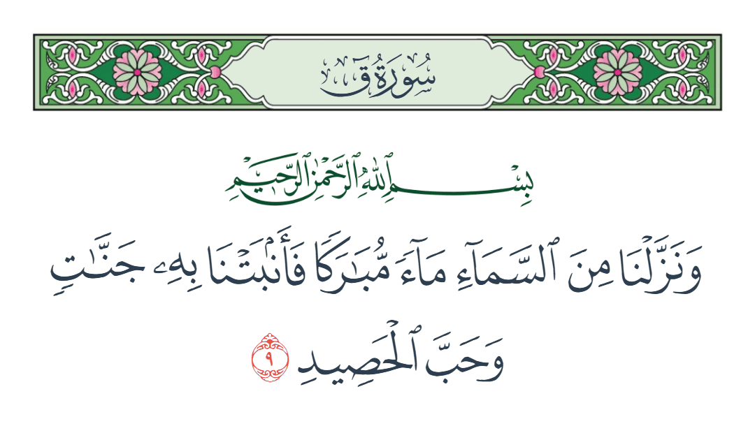 سورة ق الآية رقم 9