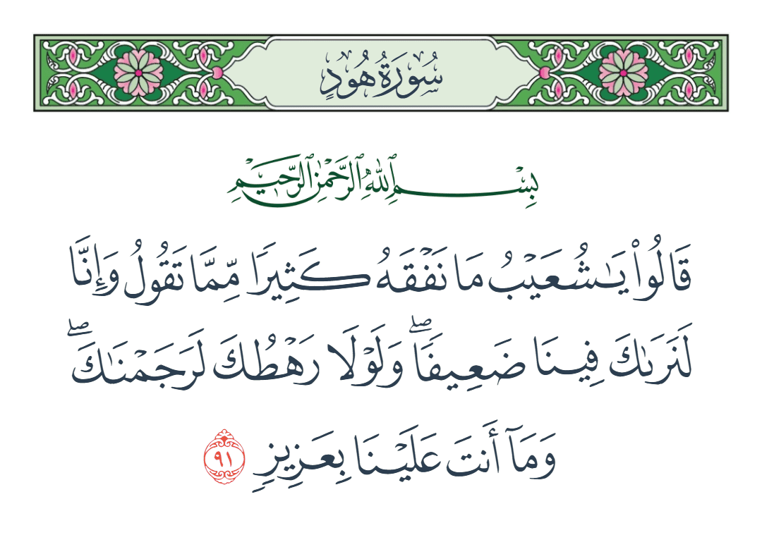  سورة هود الآية رقم 91