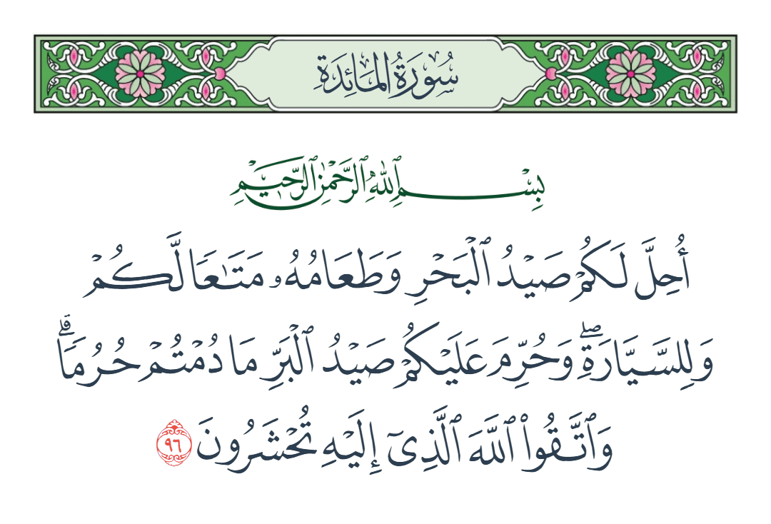  سورة المائدة الآية رقم 96