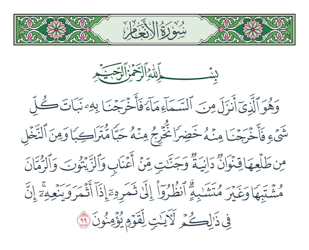  سورة الأنعام الآية رقم 99